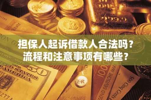 北京担保人起诉借款人合法吗？流程和注意事项有哪些？