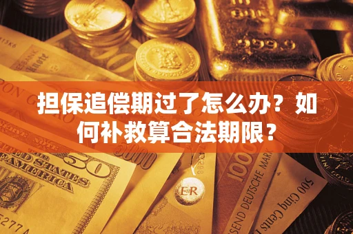 北京担保追偿期过了怎么办？如何补救算合法期限？